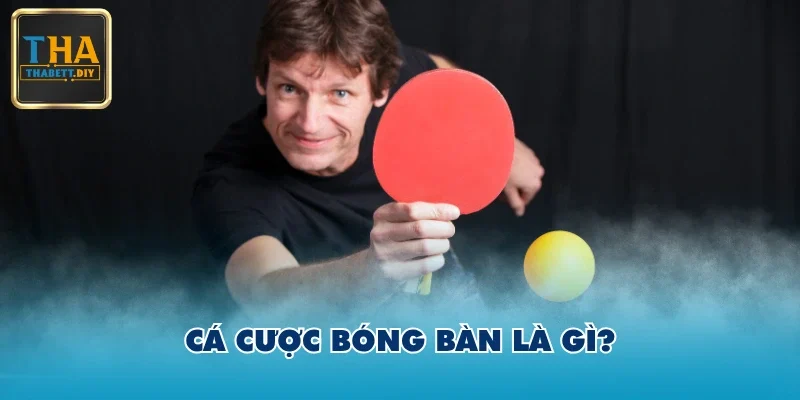 Cá cược bóng bàn là gì?