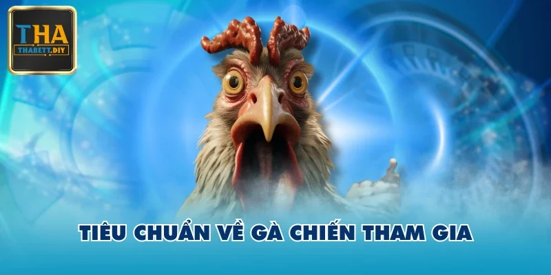 Tiêu chuẩn về gà chiến tham gia